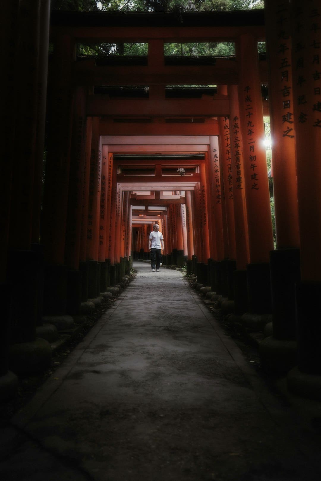 漳浦开渔 千帆竞发赴蓝海